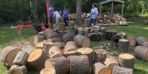 Volunteers clearing trees from the camp.