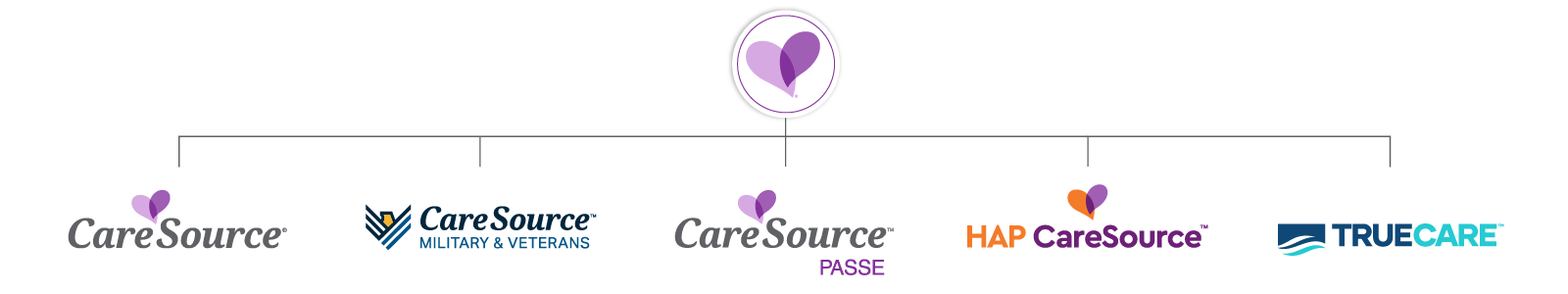 Care Source Brand Architecture Web Banner copy